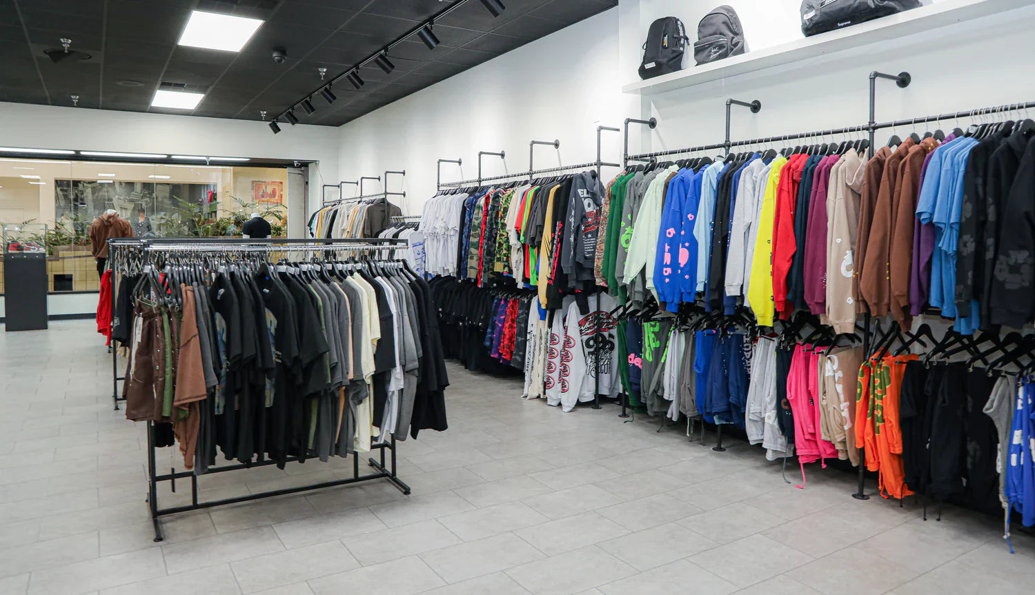 IMG_1541_1.webp