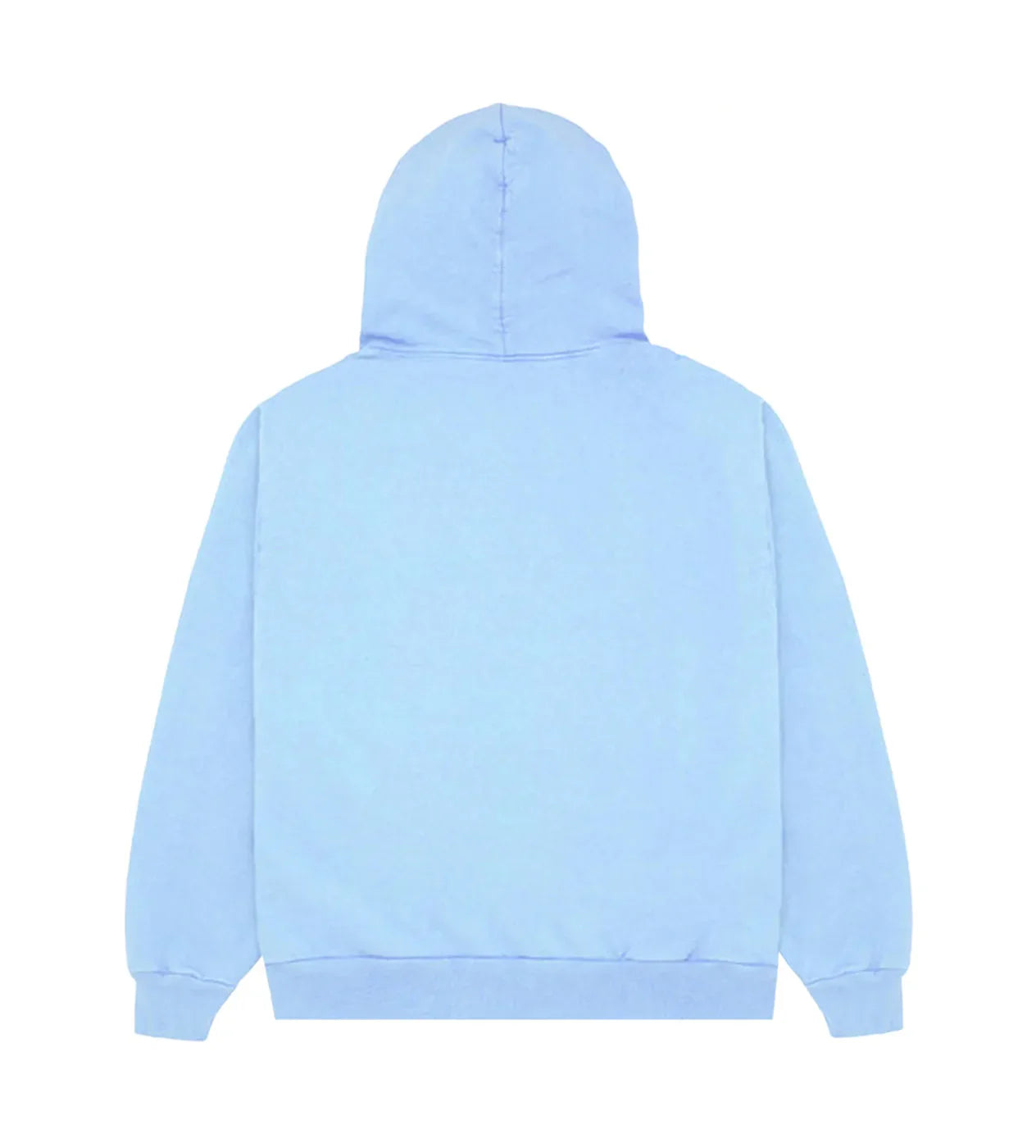 Web Hoodie 'Sky Blue'